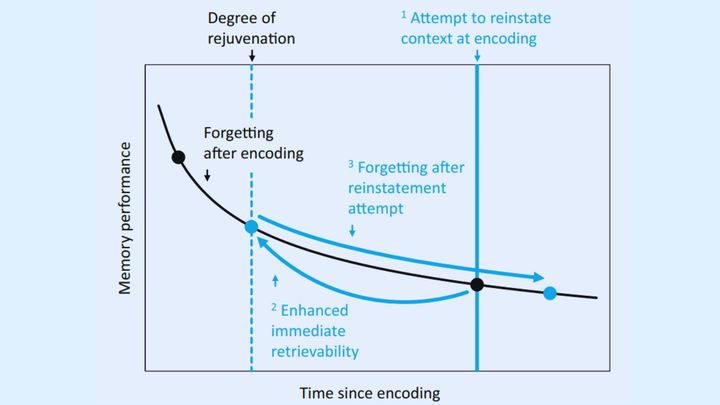 精神的タイムトラベルと記憶の若返りサイクル