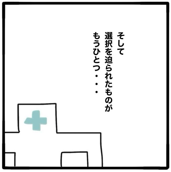 子どもの命か私の命か／つきママ