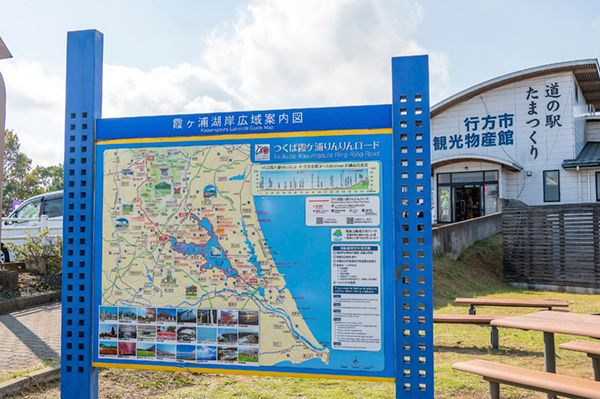 絶対に失敗しない選び方！冷却スプレーって何を買うのが正解なの？