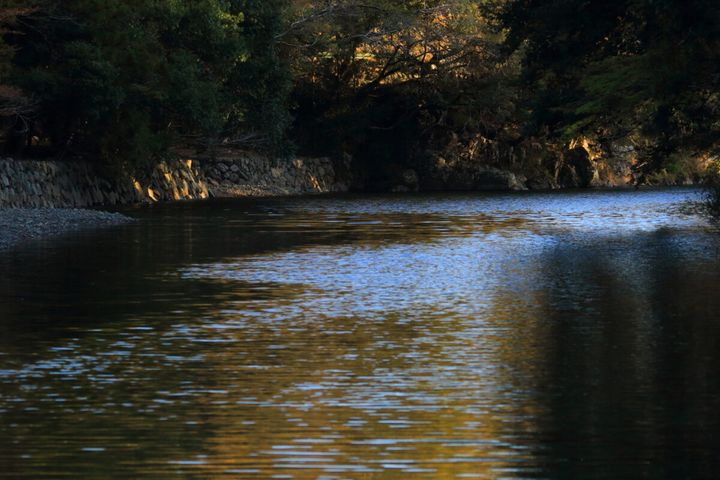 五十鈴川の清らかな流れ。
