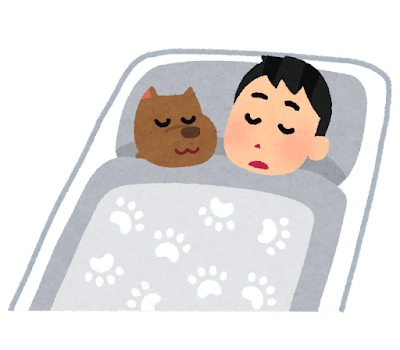 犬と寝る人のイラスト