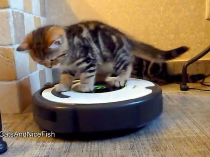 えっ、乗っちゃった！