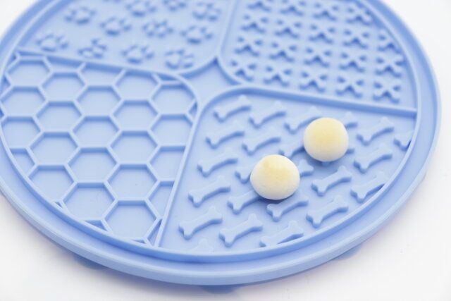 ダイソー 早食い防止シリコーンペット皿（丸型） 使用例