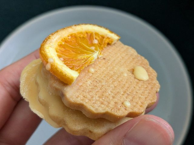 ロリアンコティ