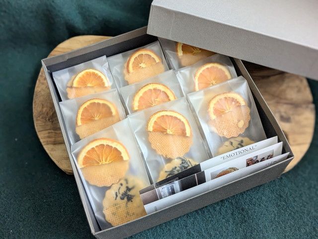 ロリアンコティ