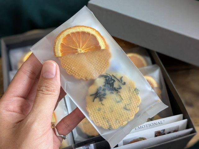 ロリアンコティ