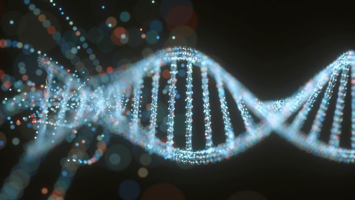 ジャガイモ進化が示した『ハイブリッドの力』とその可能性