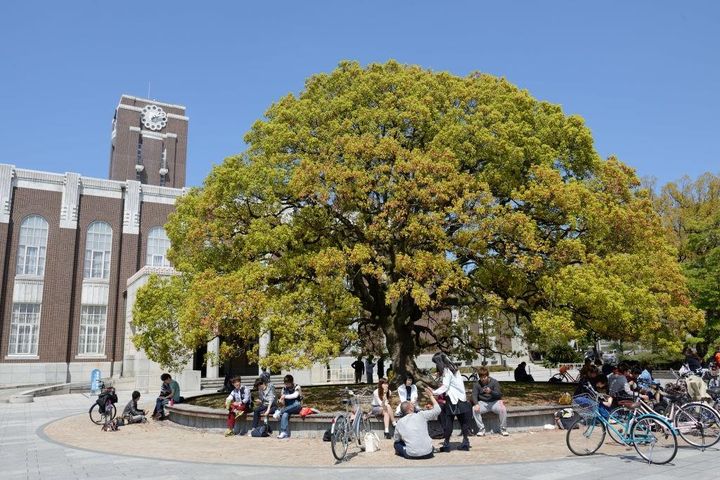 【インタビュー】「自分の信じた道を突き進んで…」日本プロリーグ初の京都大出身GKが成長を誓う