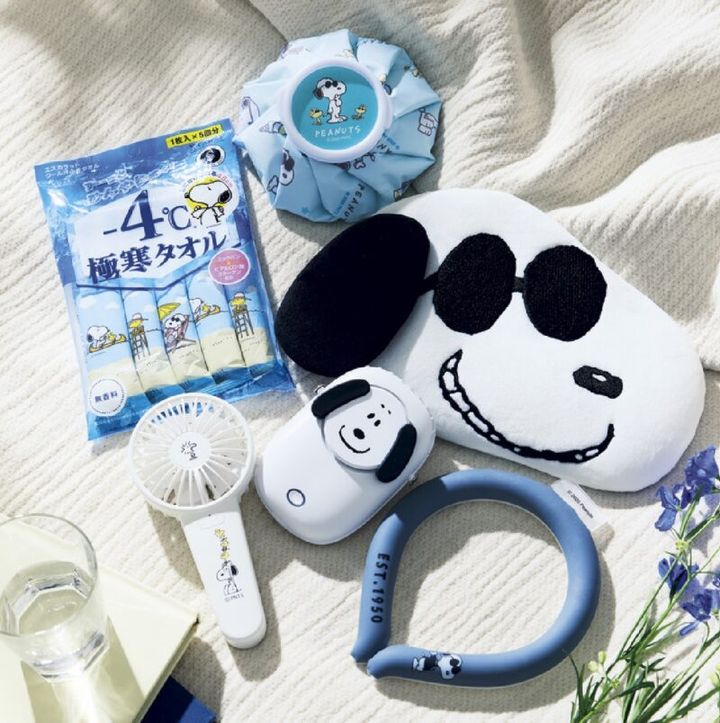 クールクッション2750円（カミオジャパン）