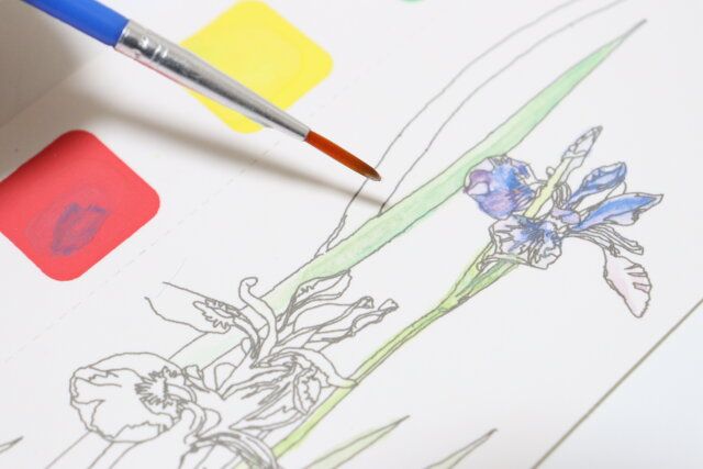 ダイソーの大人がハマる水彩絵の具つきぬりえ（花と果実）