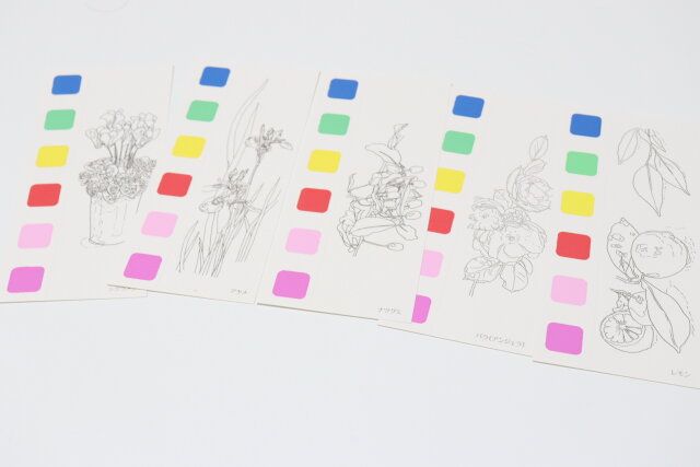 ダイソーの水彩絵の具つきぬりえ（花と果実）の中身