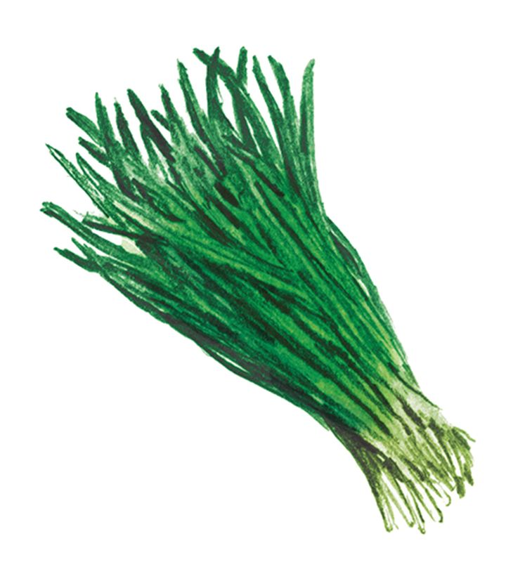 独特の辛味や香りを生み出しているアリシンには、抗酸化作用や疲労回復をサポートする効果が。スタミナをつけたい時におすすめ。