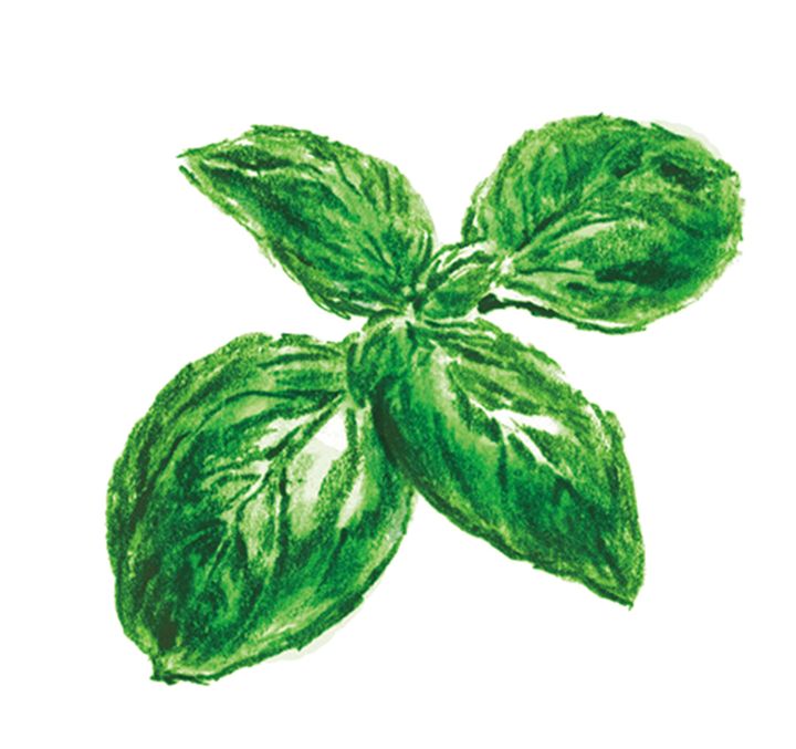 神経を落ち着かせる作用があるハーブ。抗酸化成分のβ‐カロテンや骨を強くするカルシウム、塩分排出を促すカリウムなども豊富。