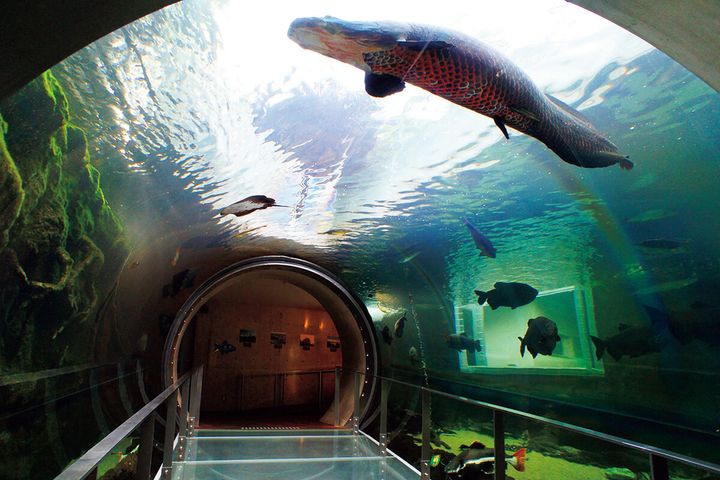 栃木〈なかがわ水遊園〉館内
