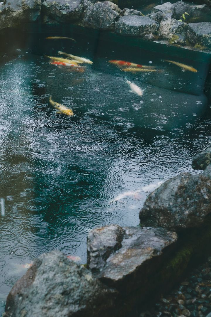 福島の旅館、静楓亭