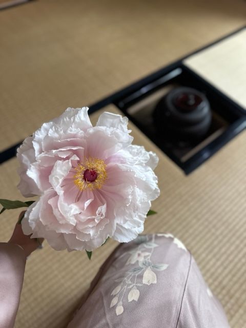 日常に、花という小さな贅沢を【夢見るパリ】
