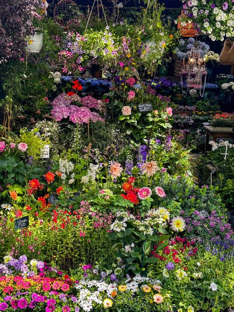 日常に、花という小さな贅沢を【夢見るパリ】