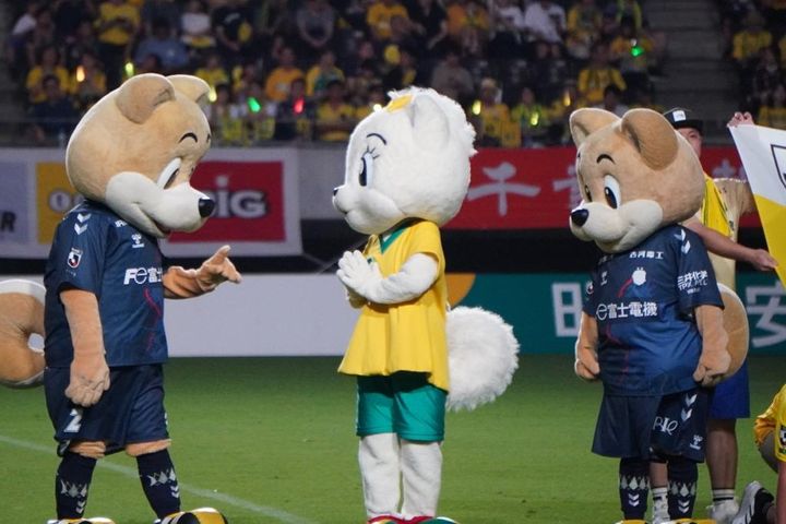 かわいすぎる！J2ジェフユナイテッド千葉に復帰したみなちゃんの写真を公開