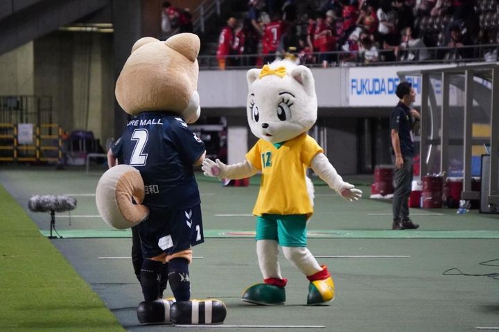 かわいすぎる！J2ジェフユナイテッド千葉に復帰したみなちゃんの写真を公開