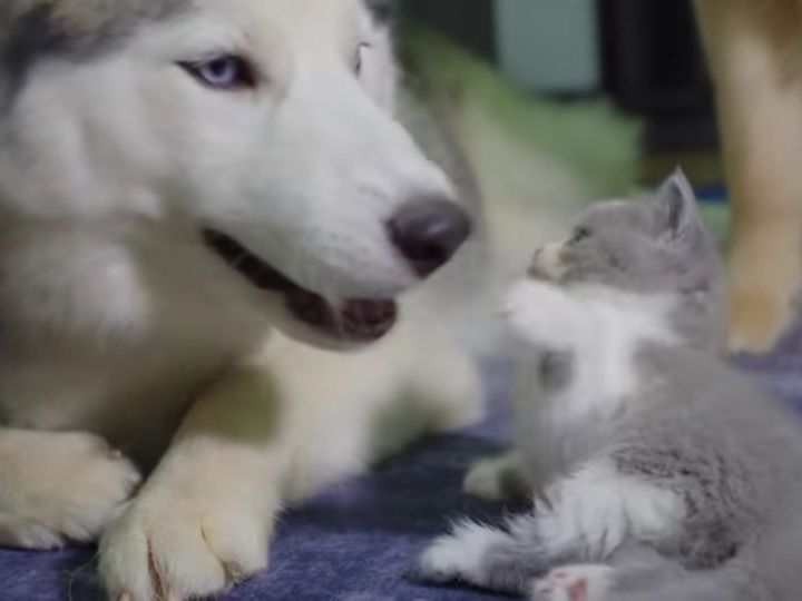 初対面でも恐れ知らず！？