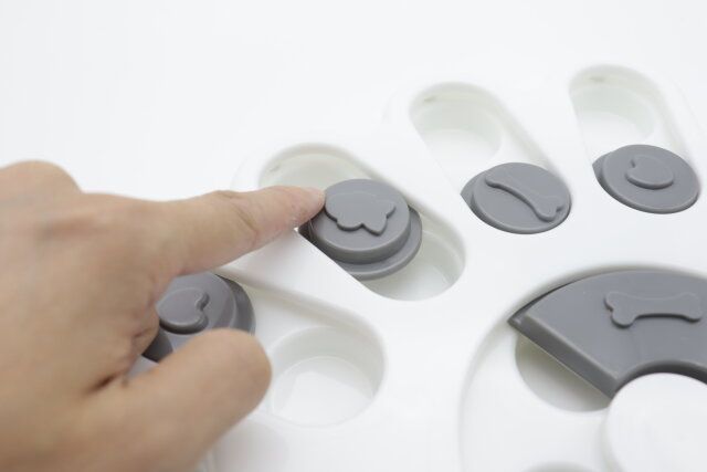 ダイソー ペット知育玩具 ノーズワークパズル 作り
