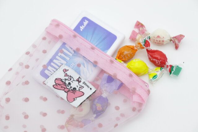 セリア ＜おしゃれキャット＞メッシュドットタグポーチ 使用例 軽食