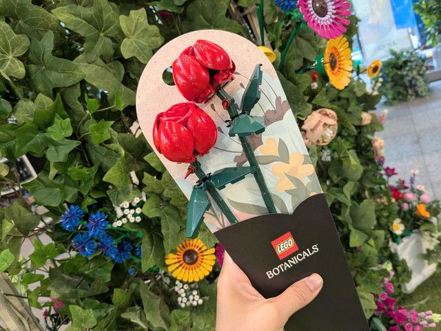 レゴ®フェスティバル ボタニカルガーデン in Marunouchi 2025