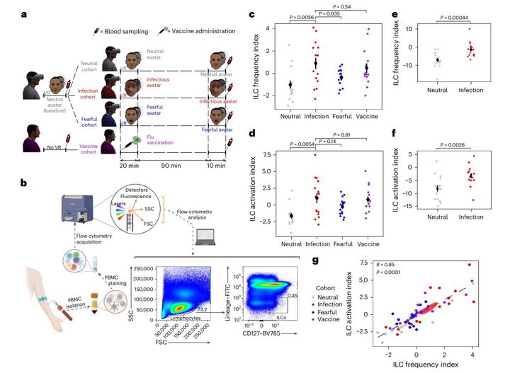 仮想世界で起きた免疫反応