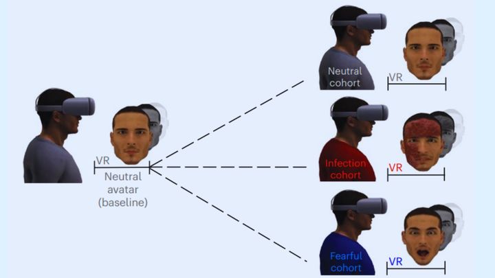 本能と免疫の関係