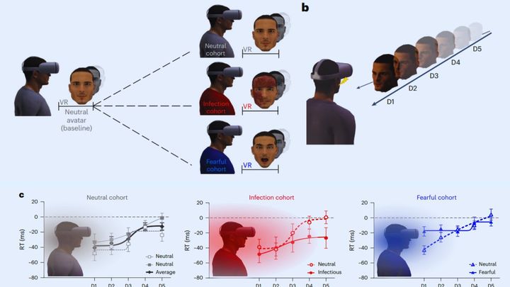 VR世界で病人を「見るだけ」で免疫細胞が活性化していた