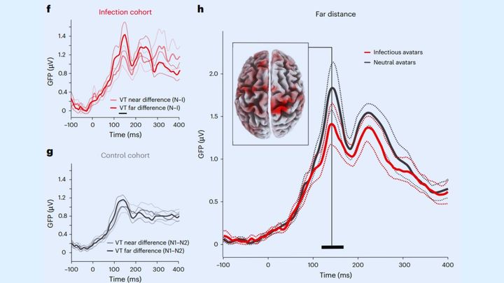 「見る感染防御」と未来の応用