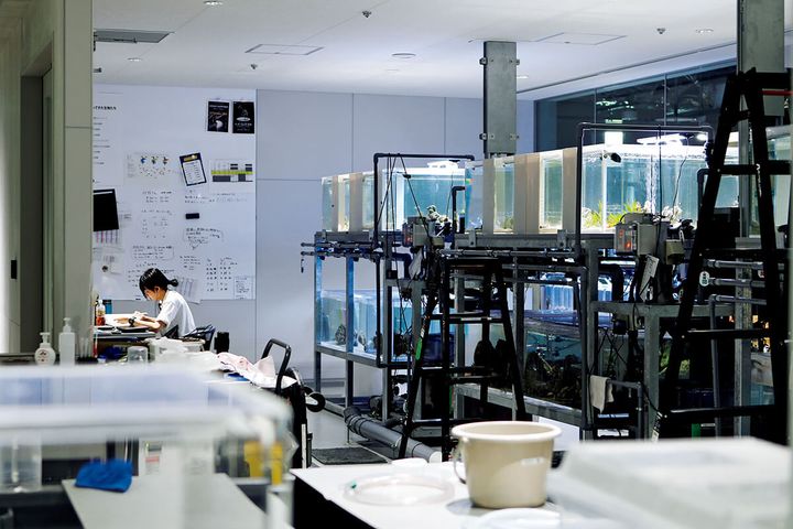 北海道〈AOAO SAPPORO〉スタッフルーム