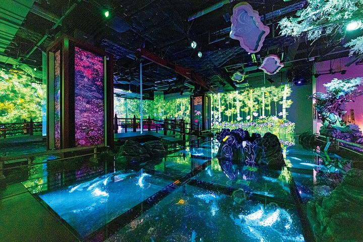 兵庫〈AQUARIUM×ART átoa〉MIYABI 和と灯の間