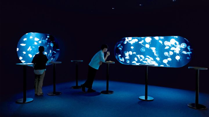 北海道〈AOAO SAPPORO〉館内