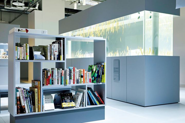 北海道〈AOAO SAPPORO〉観察と発見の部屋