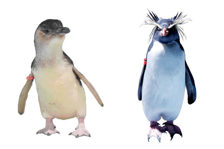 「魚を見る」だけじゃない！これからの都市型水族館