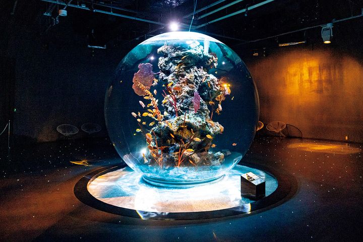 兵庫〈AQUARIUM×ART átoa〉PLANETS 奇跡の惑星の水槽