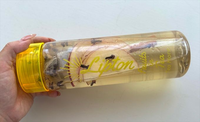 「アップルシナモンティー」