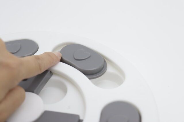 ダイソーのブロックをスライドできるペット知育玩具（ノーズワークパズル、丸型）