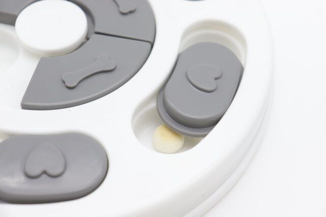 ダイソーのおやつを入れたペット知育玩具（ノーズワークパズル、丸型）