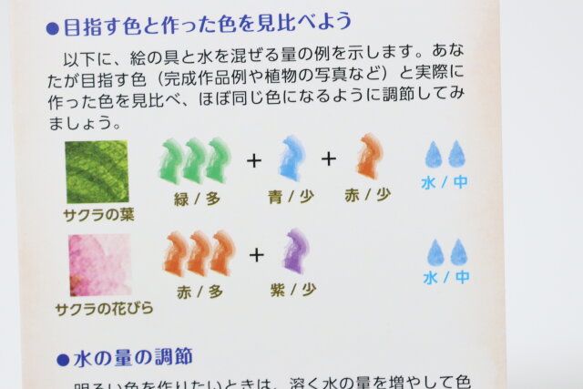 ダイソーの水彩絵の具つきぬりえの塗り方アドバイスカード