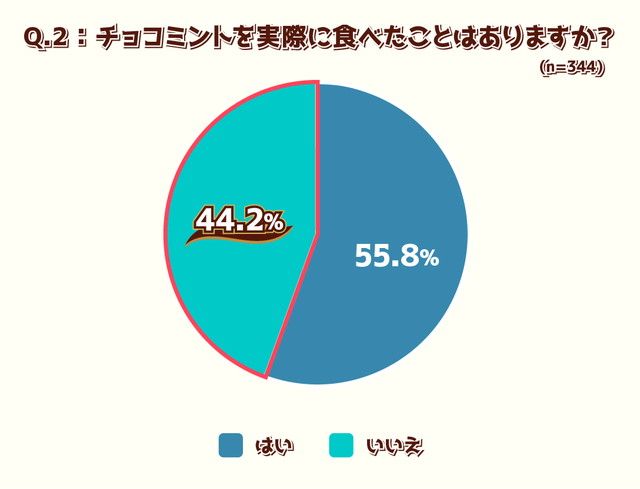 明治 エッセル スーパーカップ チョコミント