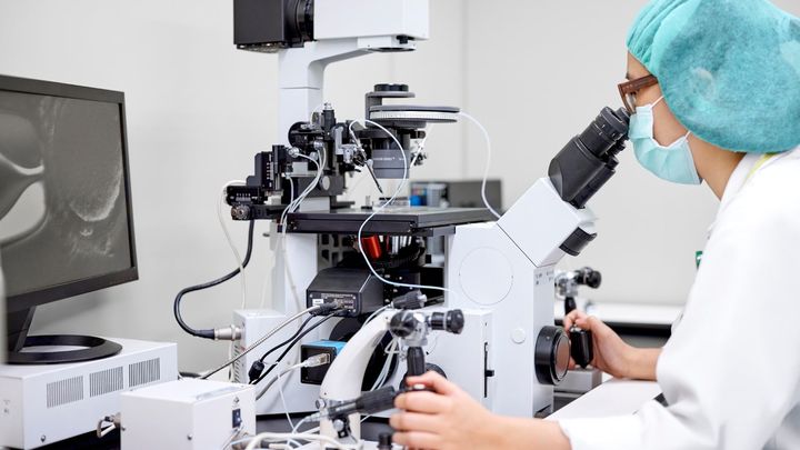 40年で1300万人、さらに増加中