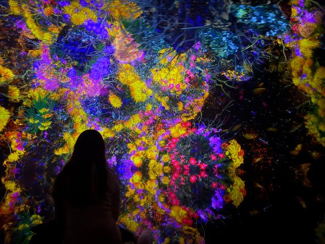 鳥道 / The Way of Birds