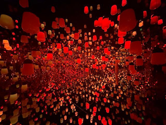 呼応するランプの森