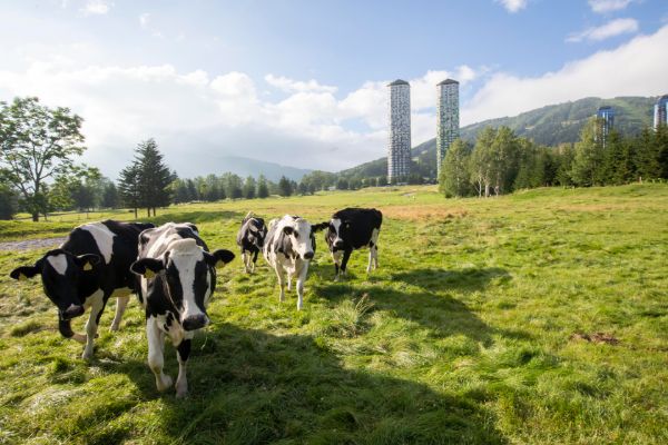 「スリーコインズが本気出した」車移動が超快適になる！車載用ファンが暑さ対策に大活躍！