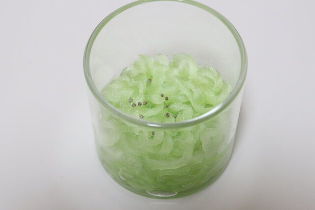 ダイソー 土無しで育つ栽培ファイバー プリムレア 使用例