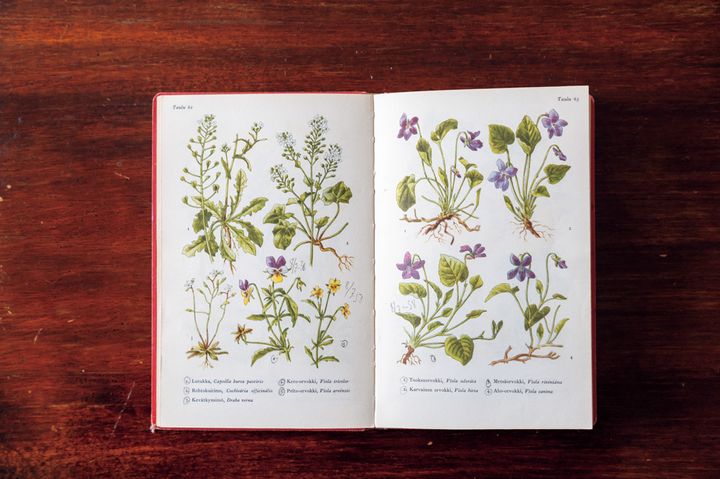 《マリメッコ》がたくさんあってかわいい！ヘルシンキのおしゃれな一人暮らしを覗き見