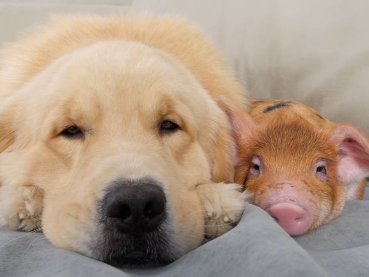 あれ？ なんか似てる！？