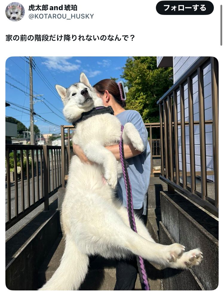 階段だけNGな理由知りたいw」とSNSで憶測飛び交う。大型
